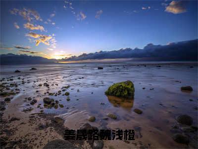 魏浅橙姜晟路（姜晟路魏浅橙全文在线阅读）-魏浅橙姜晟路（姜晟路魏浅橙）免费阅读