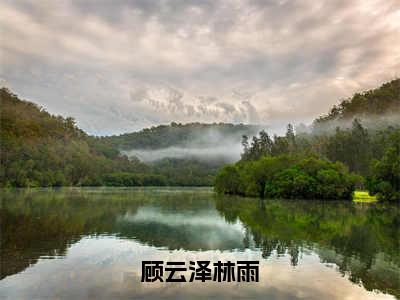 顾云泽林雨（顾云泽林雨）全文免费阅读无弹窗大结局_顾云泽林雨在线阅读笔趣阁（顾云泽林雨）