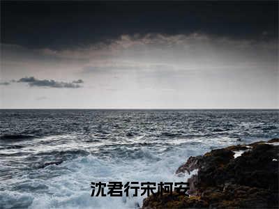 沈君行宋柯安已完结小说全集阅读（宋柯安沈君行完整版大结局）沈君行宋柯安小说全文阅读笔趣阁