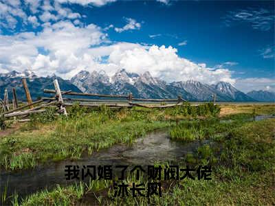 许雨晴沐长风小说（我闪婚了个财阀大佬沐长风）全文免费阅读-许雨晴沐长风精彩章节在线阅读