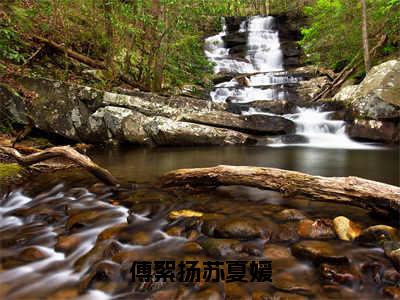 傅絮扬苏夏媛（苏夏媛傅絮扬）全文免费阅读无弹窗_傅絮扬苏夏媛最新小说_笔趣阁