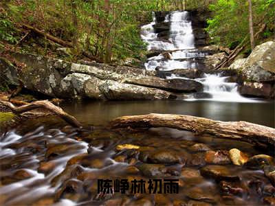 陈峥林初雨（林初雨陈峥）全文免费阅读无弹窗大结局_（林初雨陈峥）林初雨陈峥最新章节列表