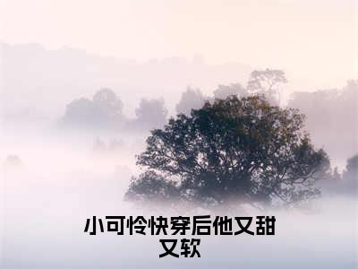 小可怜快穿后他又甜又软小说全文（田骄）全文免费阅读无弹窗大结局-（田骄）无弹窗免费阅读大结局