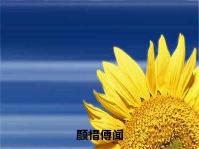 颜惜傅闻（傅闻颜惜）最新章节在线阅读-老书虫推荐颜惜傅闻小说