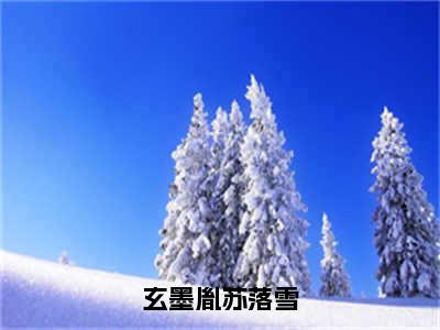 苏落雪玄墨胤小说（玄墨胤苏落雪）全文免费阅读无弹窗大结局_苏落雪玄墨胤（玄墨胤苏落雪）最新章节列表