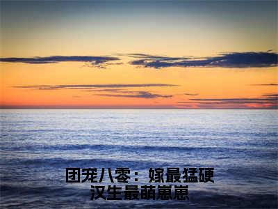 团宠八零：嫁最猛硬汉生最萌崽崽全文（刘团圆卫南凛免费小说-完整版-团宠八零：嫁最猛硬汉生最萌崽崽在线赏析）最新章节已更新版