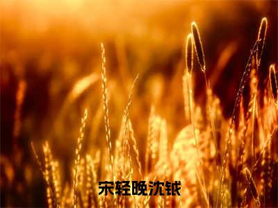 宋轻晚沈钺（沈钺宋轻晚）全文免费阅读无弹窗大结局_宋轻晚沈钺免费阅读无弹窗最新章节列表