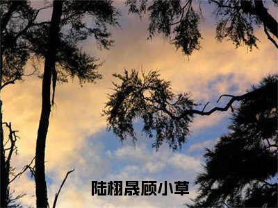 小说《陆栩晟顾小草》全文免费阅读无弹窗-顾小草陆栩晟小说全文在线赏析_笔趣阁