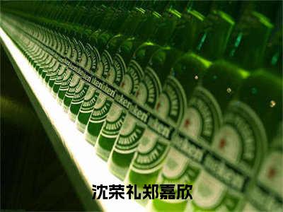 沈荣礼郑嘉欣大结局全文免费阅读最新章节_郑嘉欣沈荣礼大结局