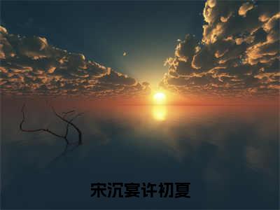 小说《许初夏宋沉宴》全文免费阅读无弹窗-宋沉宴许初夏小说全文在线赏析