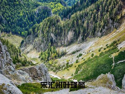 宋汇川叶瑾懿（叶瑾懿宋汇川全章节完整版）免费阅读_宋汇川叶瑾懿（叶瑾懿宋汇川）最新章节列表笔趣阁