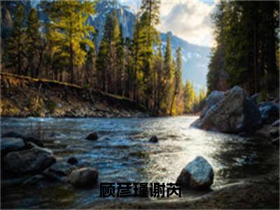 番外+免费小说《顾彦瑾谢芮》全文免费阅读无弹窗-谢芮顾彦瑾小说全文在线赏析_笔趣阁