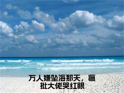 万人嫌坠海那天，疯批大佬哭红眼小说（稚宁池昼）全文免费阅读大结局_（万人嫌坠海那天，疯批大佬哭红眼）稚宁池昼小说免费阅读无弹窗