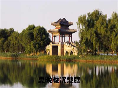 夏晚凝沈楚庭（夏晚凝沈楚庭）全文免费阅读无弹窗大结局_（夏晚凝沈楚庭）免费阅读无弹窗最新章节列表