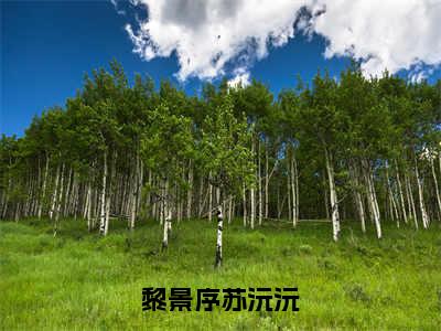 【全文】《苏沅沅黎景序》小说txt在线阅读_（苏沅沅黎景序全章节）-苏沅沅黎景序_黎景序苏沅沅在线阅读