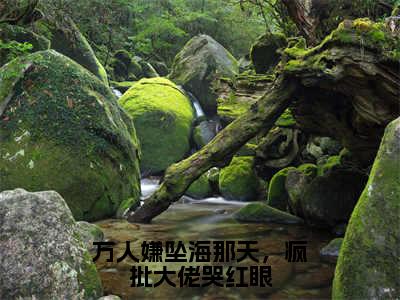 （万人嫌坠海那天，疯批大佬哭红眼）小说全文免费阅读无弹窗大结局_稚宁池昼万人嫌坠海那天，疯批大佬哭红眼最新章节列表笔趣阁