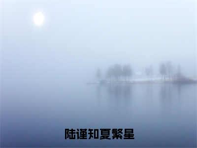 陆谨知夏繁星（夏繁星陆谨知）全文免费阅读无弹窗大结局_陆谨知夏繁星全文免费阅读最新章节列表_笔趣阁