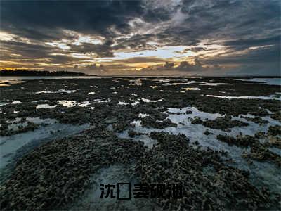 沈婳姜砚池（沈婳姜砚池）全文免费阅读_（沈婳姜砚池）沈婳姜砚池最新章节列表_笔趣阁