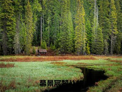 慕景宸黎从枝（黎从枝慕景宸）全文免费阅读-慕景宸黎从枝（黎从枝慕景宸）最新章节小说阅读