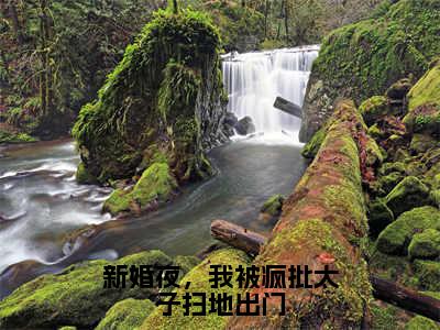 重阳月风无弹窗（新婚夜，我被疯批太子扫地出门）全文免费阅读无弹窗大结局_（重阳月风无弹窗）新婚夜，我被疯批太子扫地出门无弹窗最新章节列表