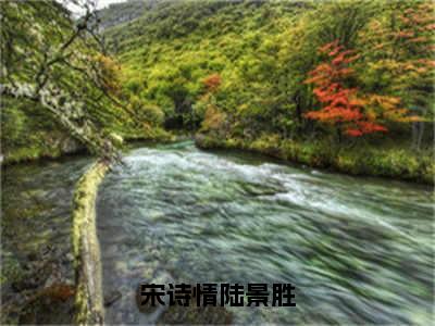 宋诗情陆景胜小说全文免费阅读_宋诗情陆景胜（宋诗情陆景胜）最新章节列表在线阅读