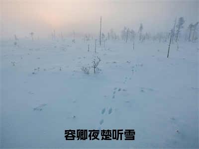 容卿夜楚听雪小说全文免费阅读_（楚听雪容卿夜）容卿夜楚听雪完结版在线阅读最新章节列表笔趣阁