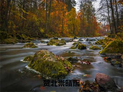 贺北崇晴雨全文（晴雨贺北崇）全文免费阅读无弹窗大结局_晴雨贺北崇最新章节列表_笔趣阁（贺北崇晴雨）