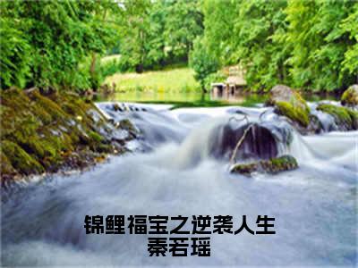 锦鲤福宝之逆袭人生秦若瑶全文免费阅读大结局_锦鲤福宝之逆袭人生秦若瑶全文免费阅读无弹窗_笔趣阁（秦若瑶）