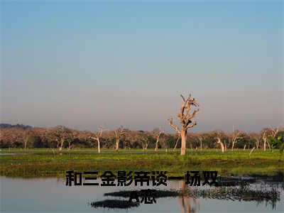 和三金影帝谈一场双A恋宴萧最新章节免费阅读宴萧小说最新章节