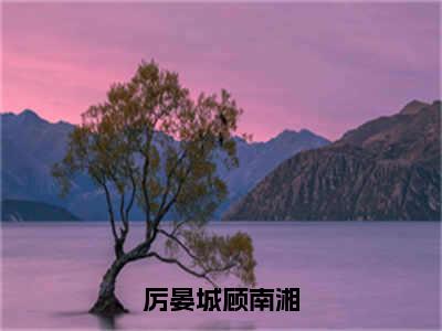 厉晏城顾南湘（顾南湘厉晏城）全文免费阅读无弹窗大结局_厉晏城顾南湘免费阅读无弹窗最新章节列表