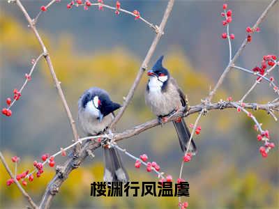 楼渊行凤温虞（凤温虞楼渊行）全章节完整版免费小说_楼渊行凤温虞最新章节在线阅读_笔趣阁