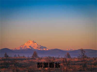 醉里看翁全文免费阅读_（温雯汐陈晏辞免费阅读无弹窗）醉里看翁高赞小说阅读