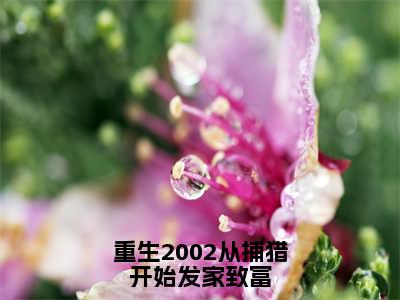 陈凡重生2002从捕猎开始发家致富免费小说-重生2002从捕猎开始发家致富（陈凡）已更新最新章节