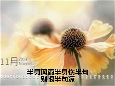 半身风雨半身伤半句别恨半句凉全文免费阅读无弹窗-（许仙白素贞）半身风雨半身伤半句别恨半句凉最新章节列表在线阅读