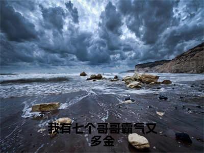 夏映雪季雨良全集小说（我有七个哥哥霸气又多金）全文免费阅读无弹窗大结局_我有七个哥哥霸气又多金最新章节列表_笔趣阁（夏映雪季雨良）