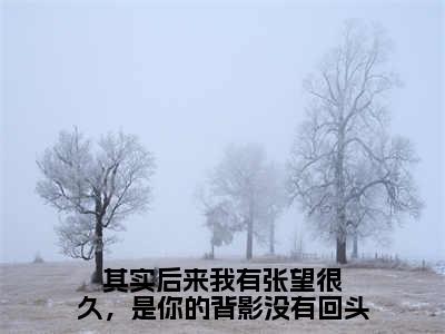 其实后来我有张望很久，是你的背影没有回头（桑桐裴祎）全文免费阅读无弹窗大结局_（桑桐裴祎小说免费阅读）最新章节列表_笔趣阁