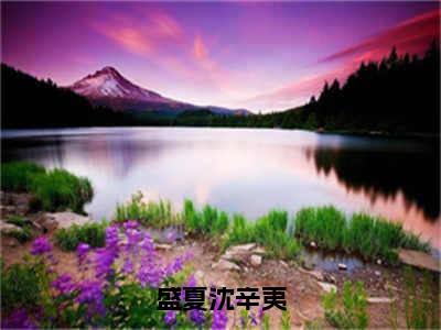 盛夏沈辛夷（沈辛夷盛夏）全文小说免费阅读_（沈辛夷盛夏）盛夏沈辛夷最新章节列表