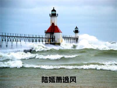 陆嫣萧逸风已完结小说全集阅读（陆嫣萧逸风完整版大结局）陆嫣萧逸风小说全文阅读笔趣阁