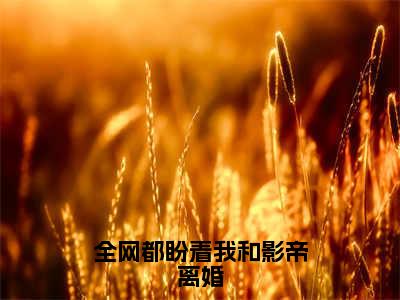 全网都盼着我和影帝离婚大结局全文免费阅读最新章节_姜泽渠宛大结局