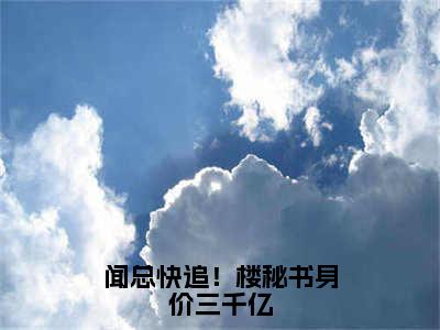 闻总快追！楼秘书身价三千亿全文免费阅读-（楼藏月闻延舟）小说全文免费阅读正版无弹窗