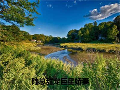 安宁陆怀瑾（陆总甜宠巨星娇妻）全文免费阅读无弹窗大结局_陆总甜宠巨星娇妻最新章节列表_笔趣阁（安宁陆怀瑾）