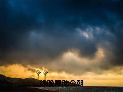 徐晚意陆今朝高甜小说最新章节-徐晚意陆今朝全文阅读