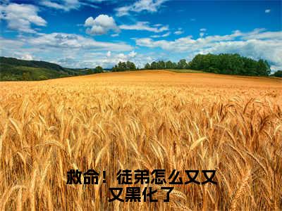 【新书】《救命！徒弟怎么又又又黑化了》全文免费阅读无弹窗大结局-沈清梨叶寒秋全章节免费阅读