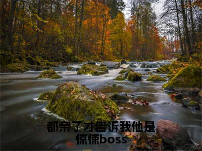 宋雪瑶林辰安（都亲了才告诉我他是惊悚boss）全文免费阅读无弹窗大结局_（都亲了才告诉我他是惊悚boss无弹窗）_笔趣阁