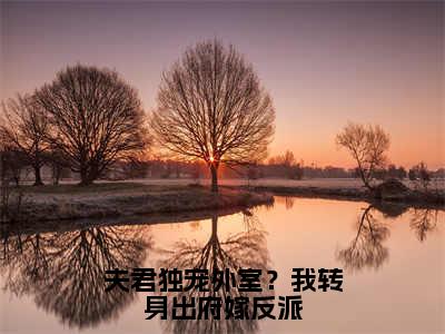 谢锦云小说在线阅读夫君独宠外室？我转身出府嫁反派无广告小说免费在线阅读