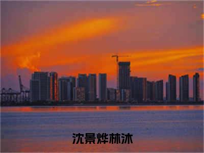 沈景烨林沐（林沐沈景烨）小说全文免费阅读无弹窗大结局_（林沐沈景烨）最新章节列表（沈景烨林沐）