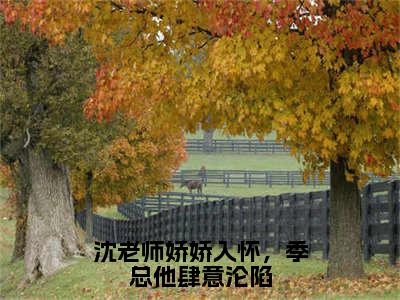 沈老师娇娇入怀，季总他肆意沦陷（季宴琛沈皎）全文免费阅读无弹窗大结局_沈老师娇娇入怀，季总他肆意沦陷最新章节列表-笔趣阁季宴琛沈皎