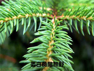 姜白薇陆林野（姜白薇陆林野）全文免费阅读无弹窗大结局_（姜白薇陆林野）姜白薇陆林野全文免费完结版阅读