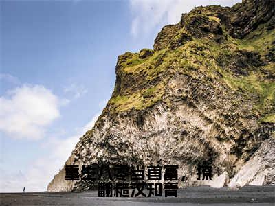 沈浅浅完整版（重生八零当首富，撩翻糙汉知青小说）全文免费阅读无弹窗大结局_重生八零当首富，撩翻糙汉知青最新章节