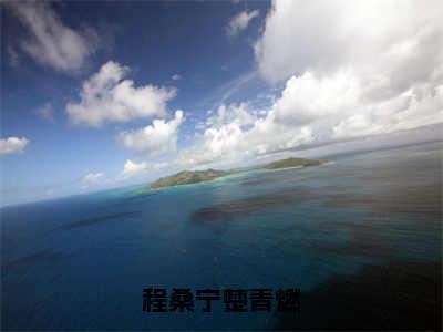 程桑宁楚青燃（楚青燃程桑宁）小说全文免费阅读-程桑宁楚青燃（楚青燃程桑宁）免费在线阅读完整版